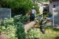 strom_potok_Bravantice_NJ_3