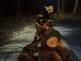 strom_terlicko_KI_03