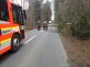 stromodstraneniDolniLhota (OV) (3)