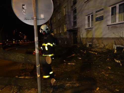 stromvitrzraneniOstravaZabreh (27).JPG