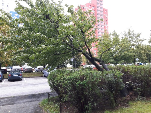 stromznackaDubina (2).jpg