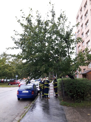 stromznackaDubina (3).jpg
