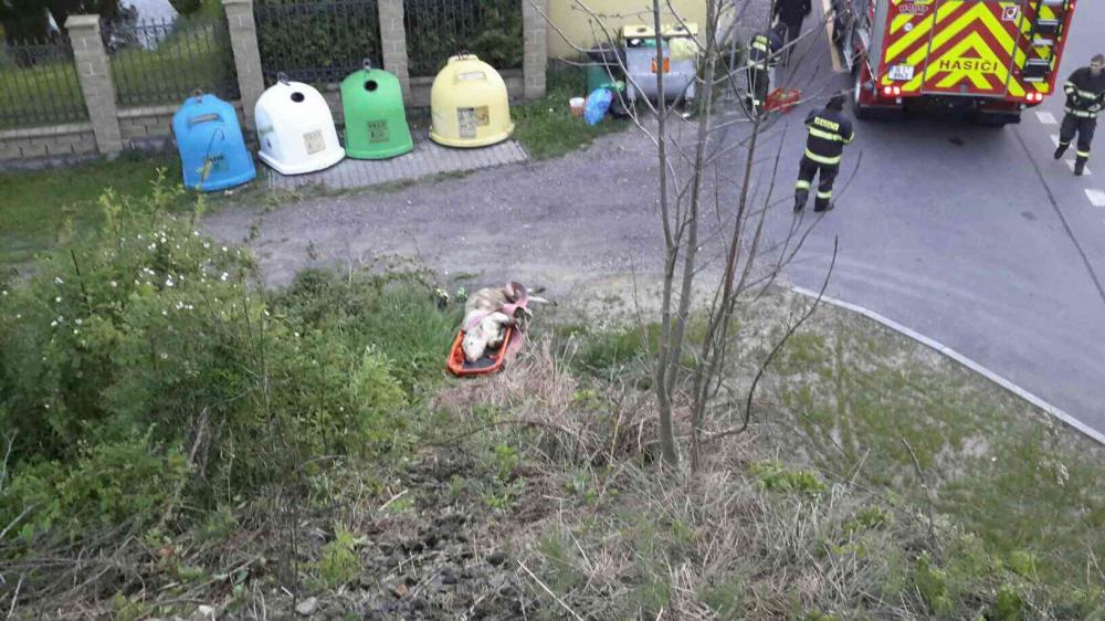 tele1.jpg