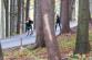 totman_2022_14