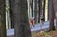 totman_2022_16