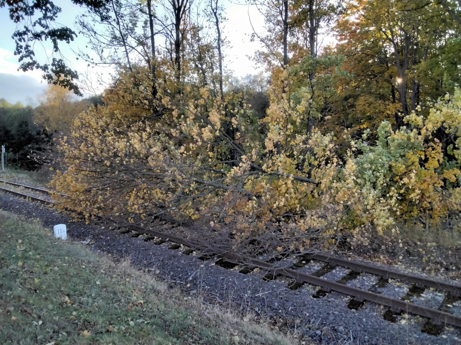 vítr-Ignác21-10-2021h.jpeg