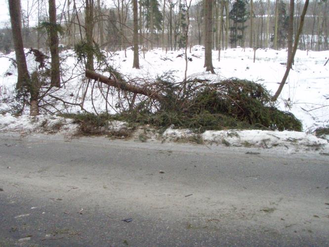 vítrMSK (01).JPG