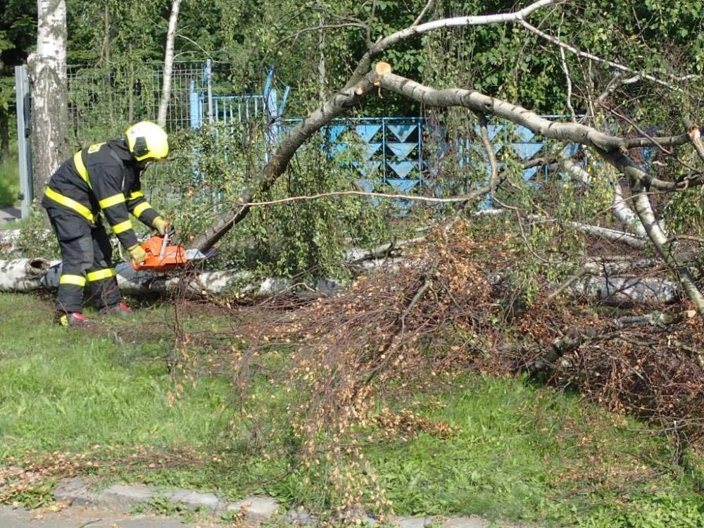 vitrstromyKrnov (2).jpg