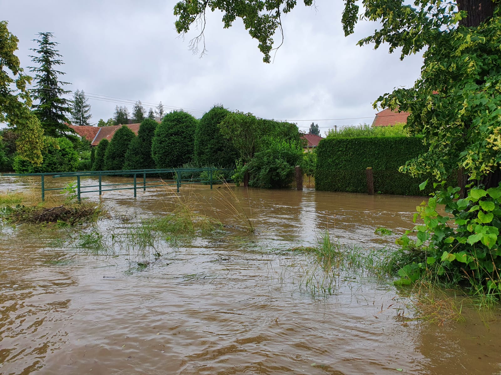 voda Dolní Roveň 29-6-2020 (2).jpg