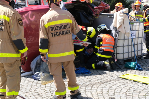 vyprostovani2019_FrydekMistek (5).JPG