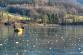 zachrana_srny_Vetrkovice_2