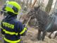zachranaklisnaBlahutovice (9)