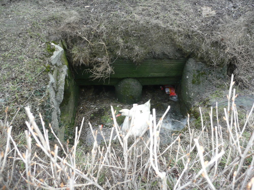zachranalabutkanalVelkeHeraltice (OP) (2).JPG