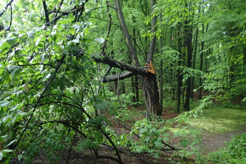 zachranastrakapouditresenOstrava (7).JPG