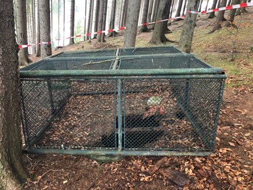 zachranastudnaKrasna (3).jpg