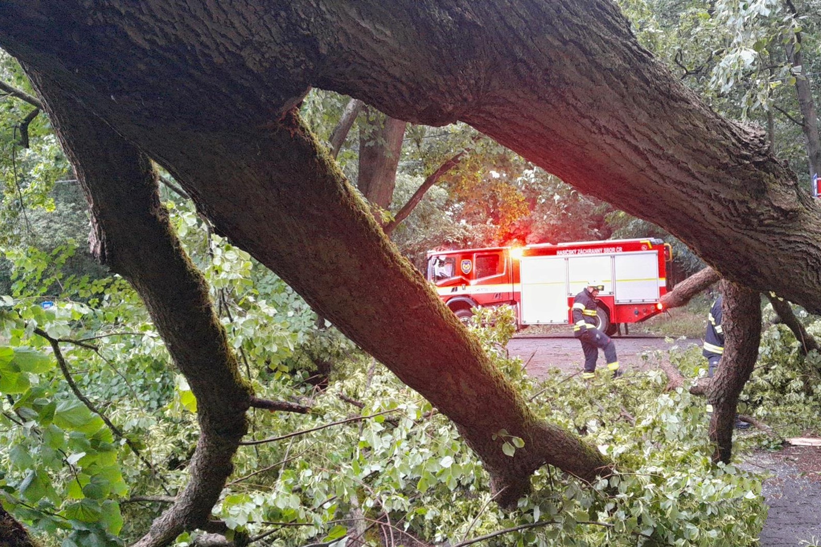 050625-Odstraňování mohutného stromu z komunikace v lokalitě Hůrka u Jarkovického rybníka nedaleko Benešova.jpg