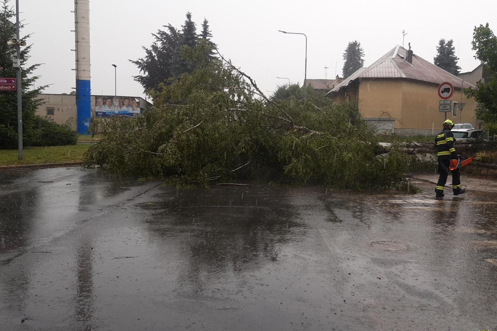 150725-Pád stromu při silné bouřce v Palackého ulici před výjezdem z Českého Brodu smrem ke kolínské silnici č. 12.jpg