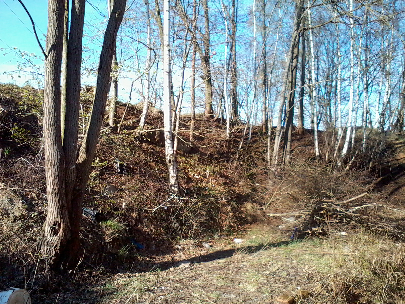 19.4.2015 požár Domažlice.jpg