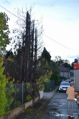 Požár.jpg