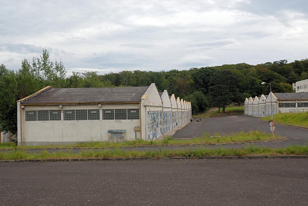 06.jpg